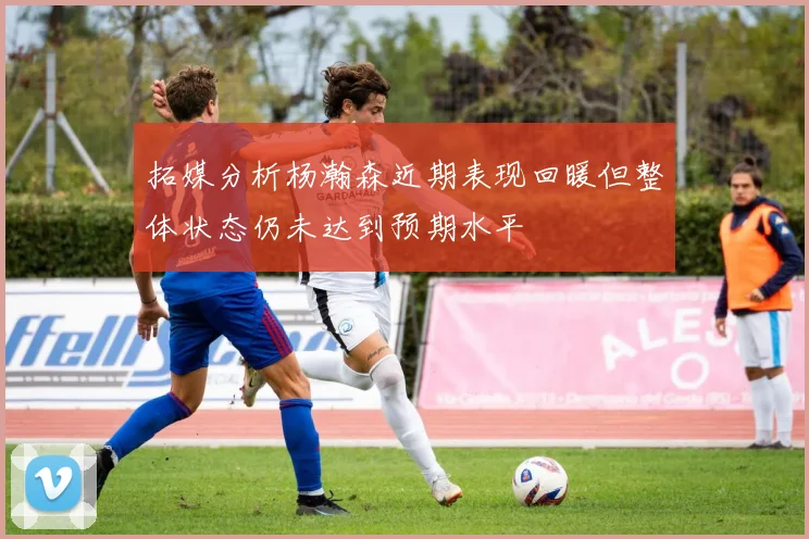 拓媒分析杨瀚森近期表现回暖但整体状态仍未达到预期水平