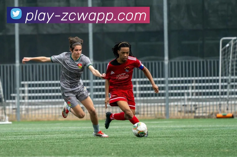 足彩网发展历程